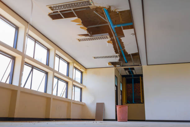 Best Flooded house restoration  in Louisville, NE