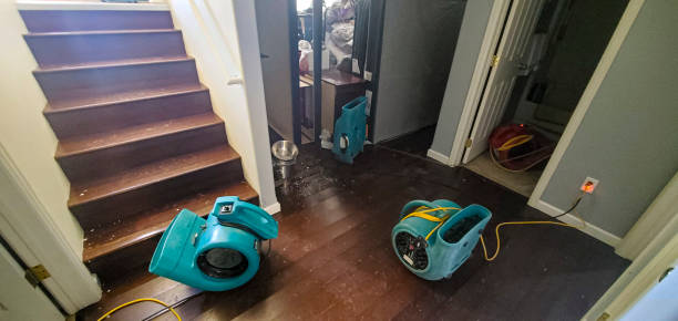 Best Fire Damage Restoration  in Louisville, NE