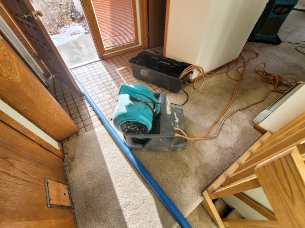 Best Water damage restoration near me  in Louisville, NE