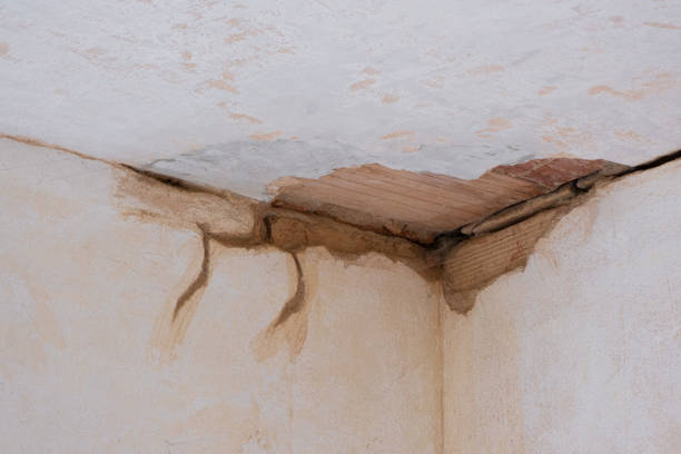 Best Commercial water damage restoration  in Louisville, NE