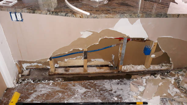 Best Water damage restoration specialists  in Louisville, NE