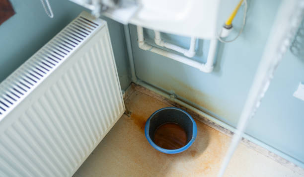 Best Water damage cleanup near me  in Louisville, NE