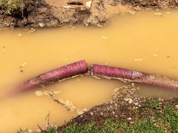 Best 24/7 water damage repair  in Louisville, NE